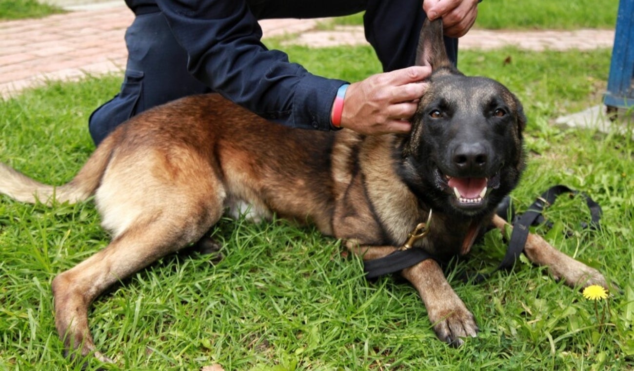 Supervigilancia reglamenta la "Ley Lorenzo"