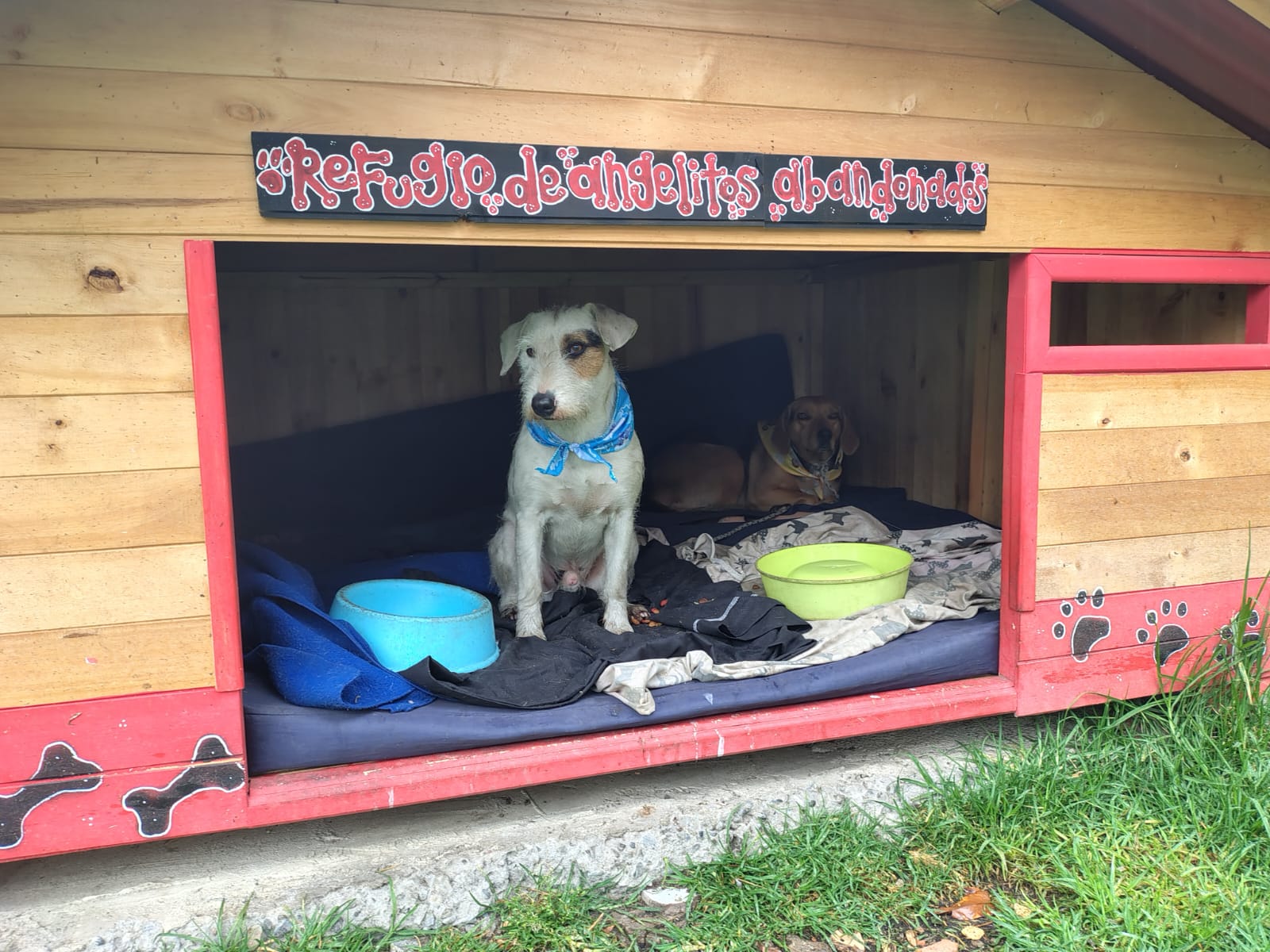 Perritos de la estación de Policía de Kennedy