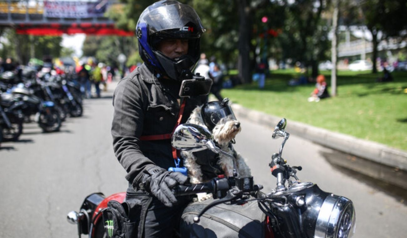 Autopista sur tiene nueva jugada para moteros rodar será distinto