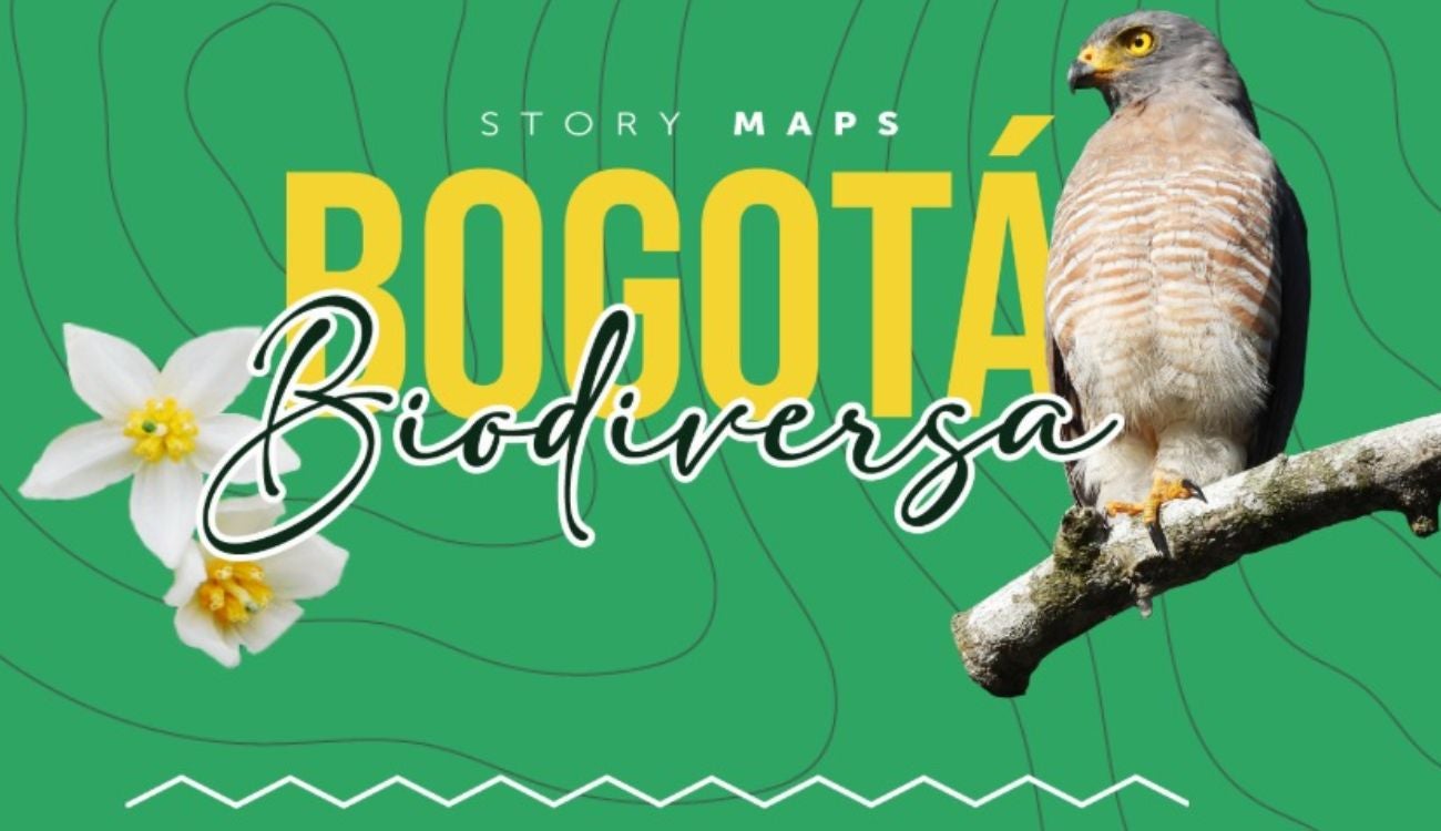 Bogotá Biodiversa aterriza: la ruta que revela los tesoros verdes de la ciudad