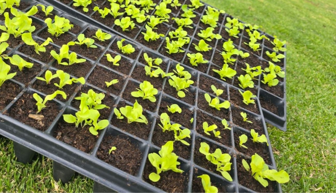 CAR se une al Museo Militar de Tocancipá para promover economía circular