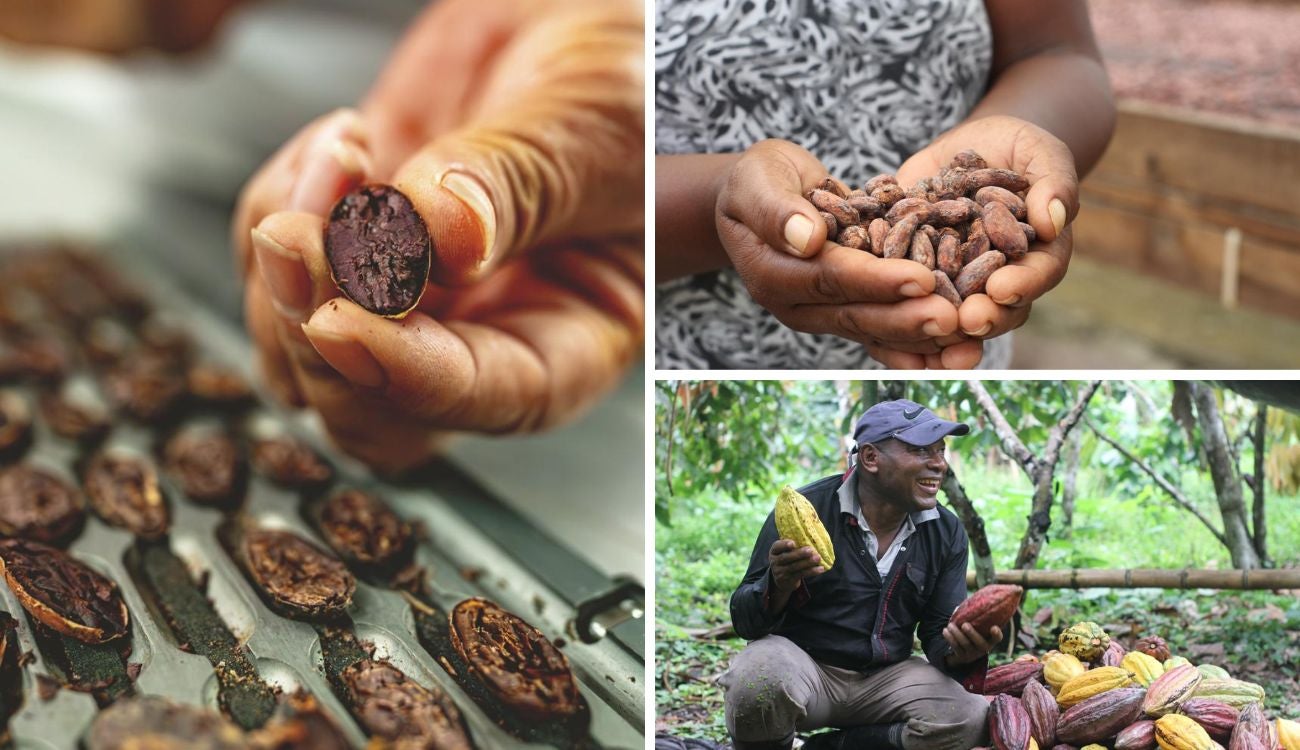 Chocoshow en Corferias: cuándo es y qué ofrece este fin de semana