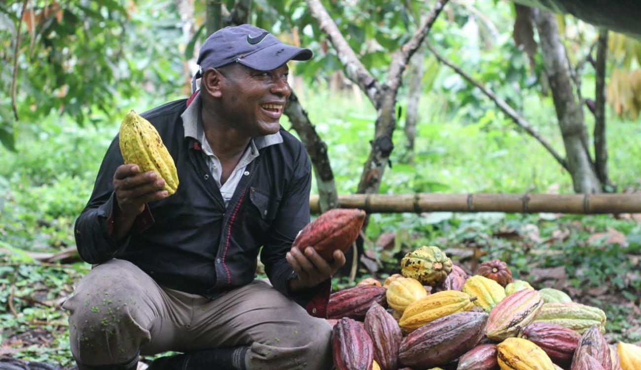 ¿Qué es Cacao para la Paz y por qué estará en ChocoShow 2025?