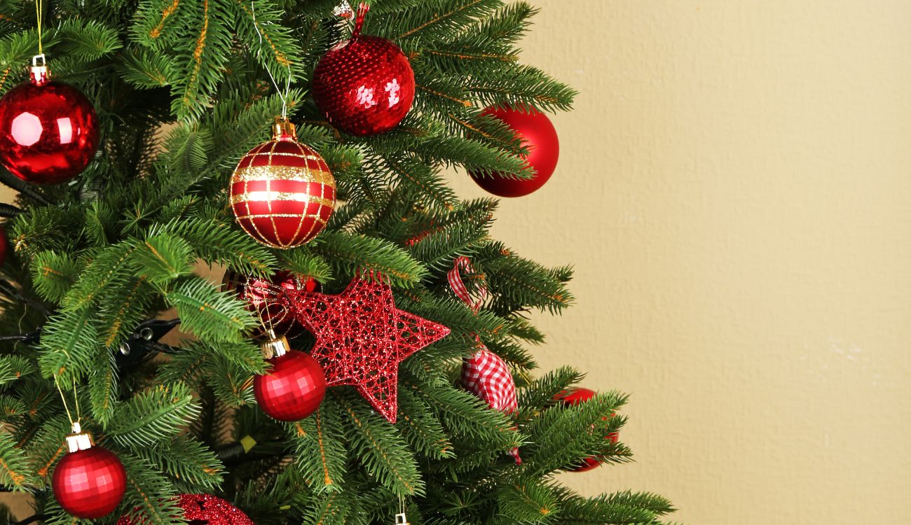 ¿Cuándo poner el árbol de Navidad? Inicie con todo el espíritu festivo