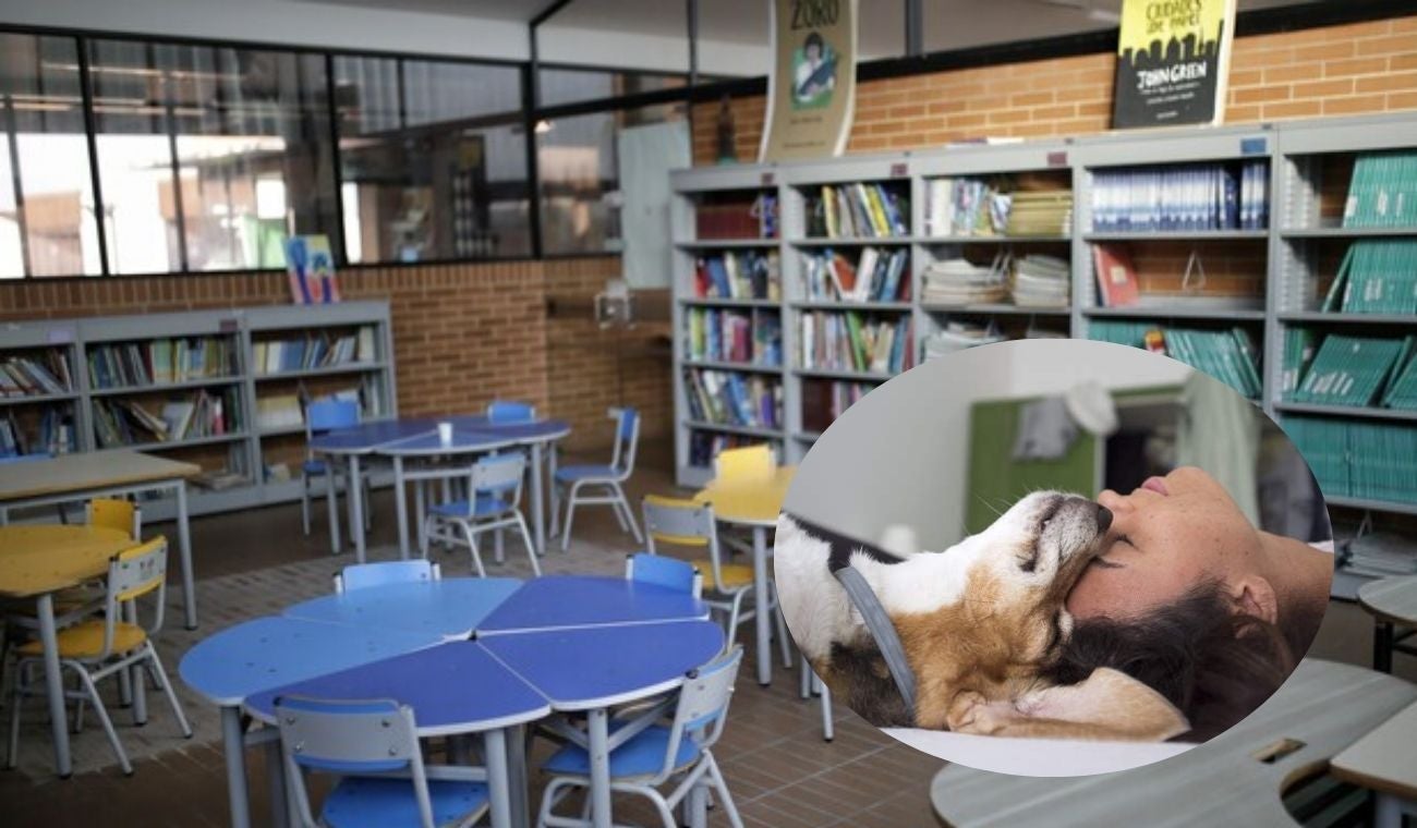 Nueva materia en los colegios estudiantes con los pelos de punta