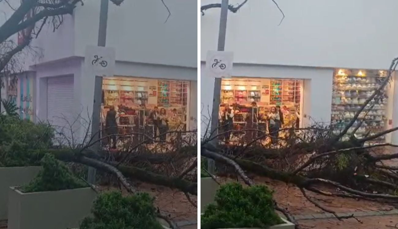 Lluvias pegaron duro: rayo tumbo árbol y complicó el paso en Chapinero