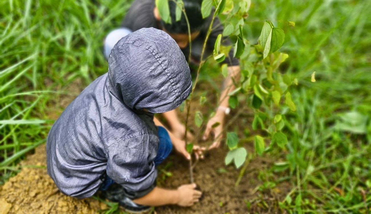 Sembratón en Cundinamarca deja 3.500 nuevos árboles en 48 municipios