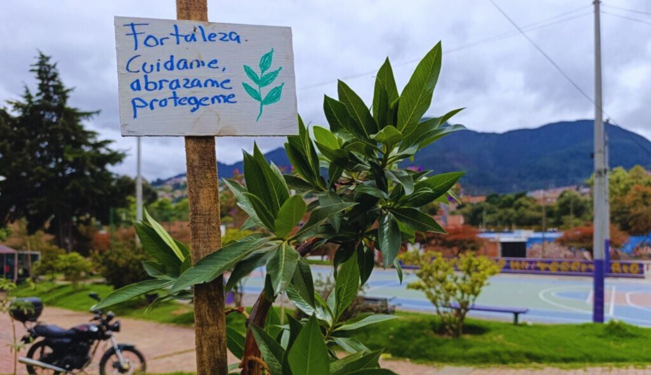 Más verde en San Cristóbal: Parque San Blas estrena árboles y flores