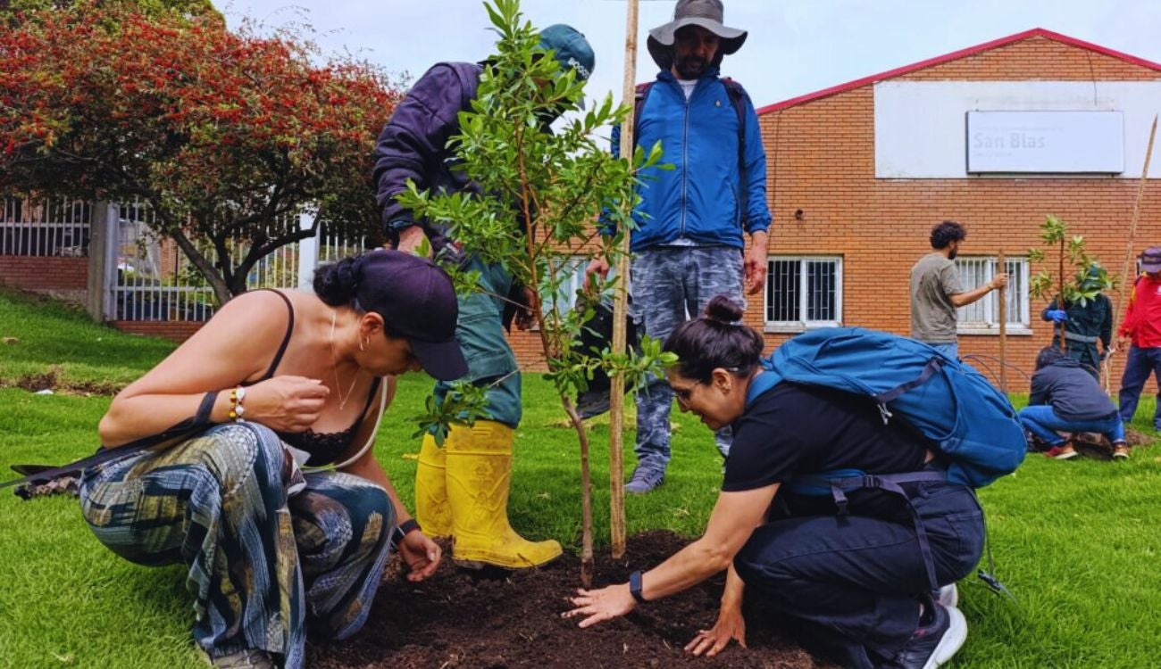 Más verde en San Cristóbal: Parque San Blas estrena árboles y flores
