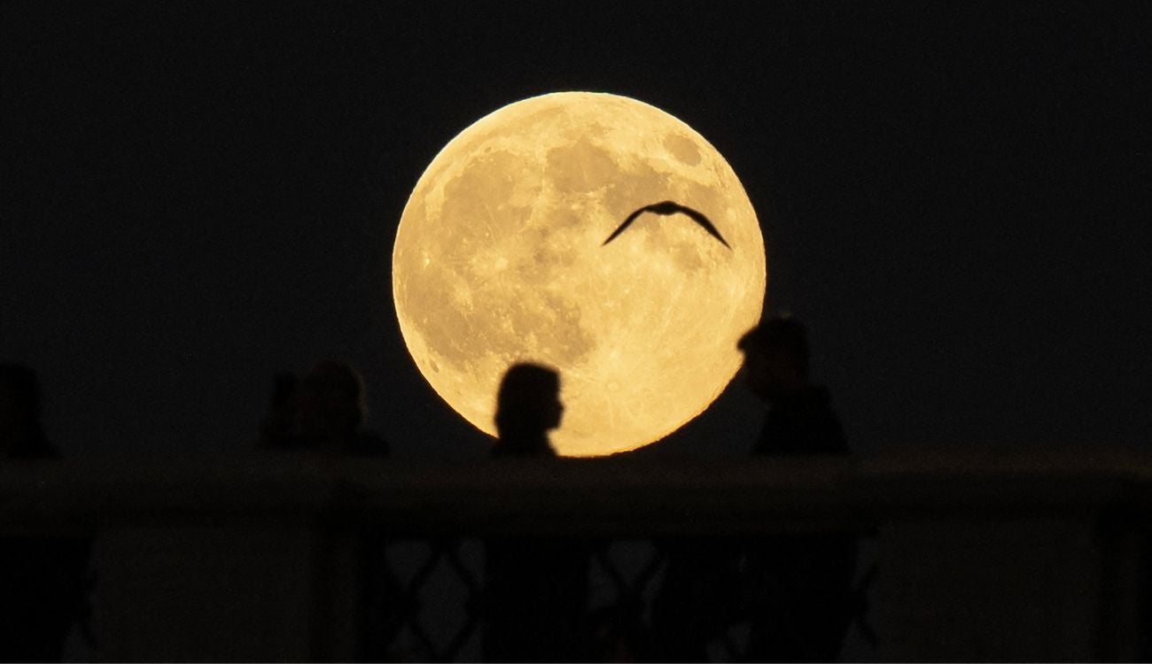 Prepárese para la Superluna de noviembre: dónde y cuándo verla