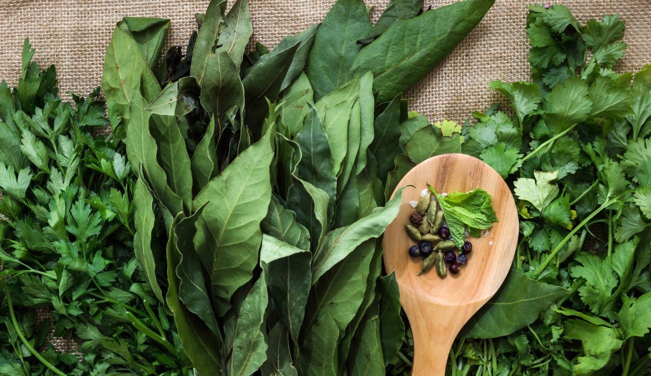 Péguese un buen baño en Navidad: hierbas pa' atraer dinero y abundancia