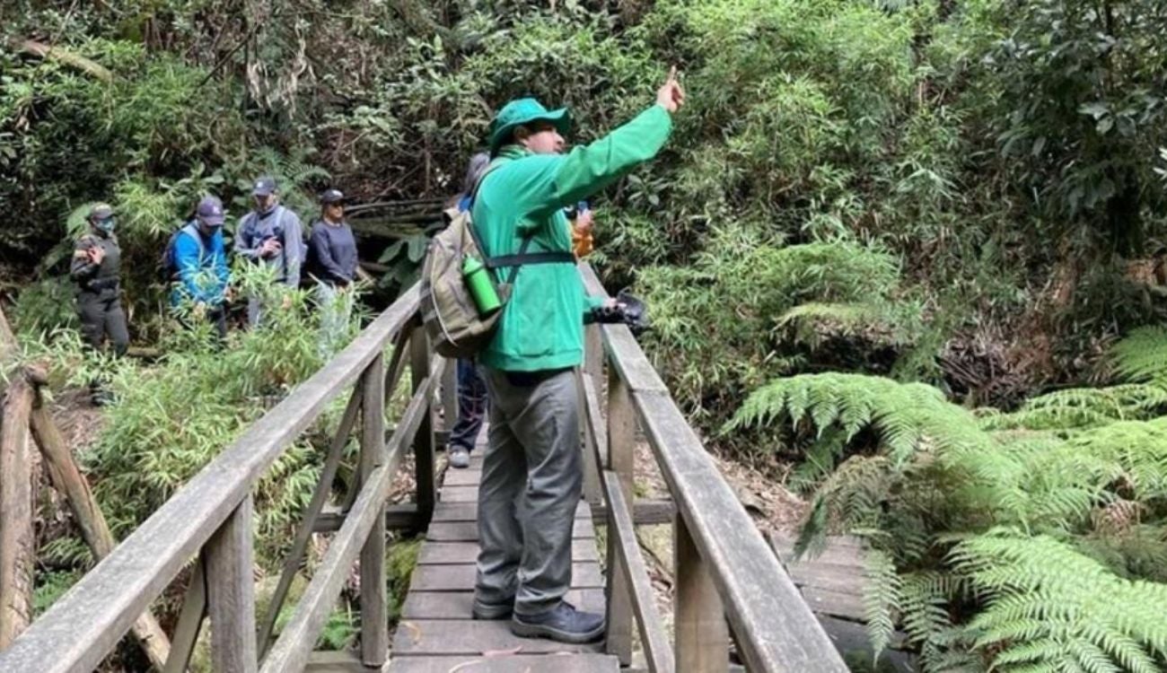 Cerros Orientales cierran por fiestas de fin de año: plan de senderos se cae