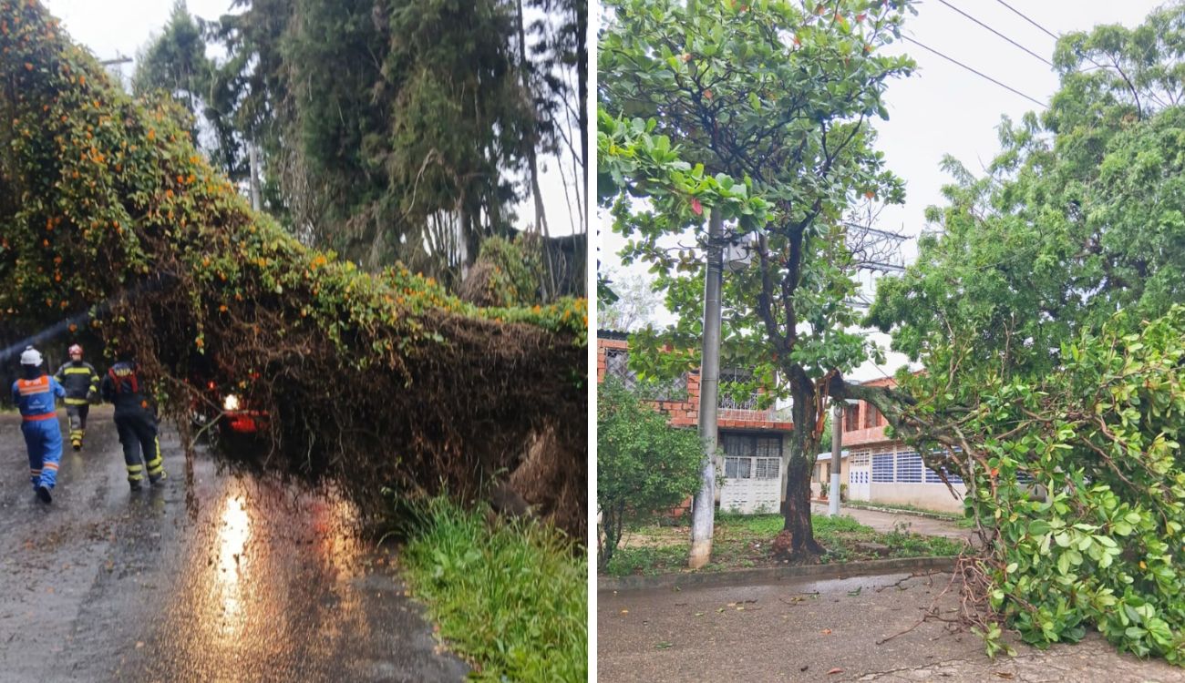Lluvias en Navidad: Enel activó plan de emergencia en Bogotá y Cundinamarca