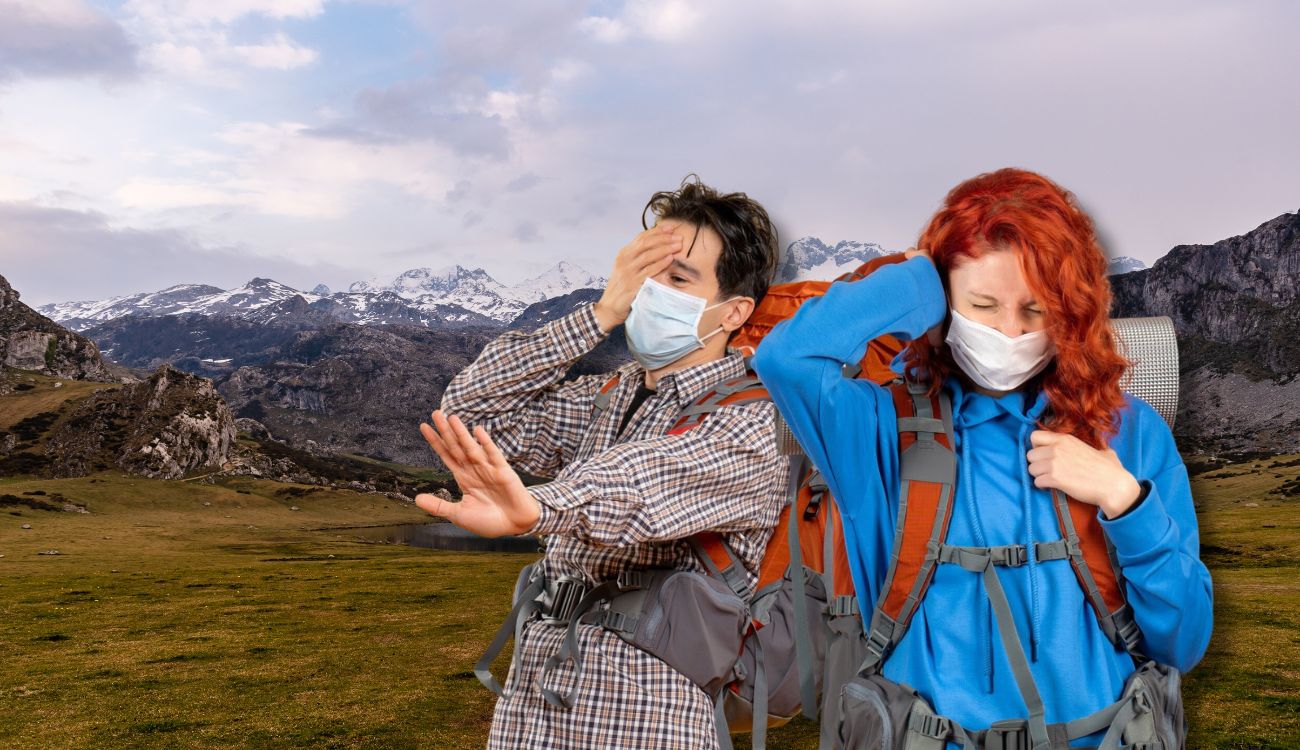 Fiebre amarilla, dengue y hepatitis A: alertas para quienes viajan en diciembre