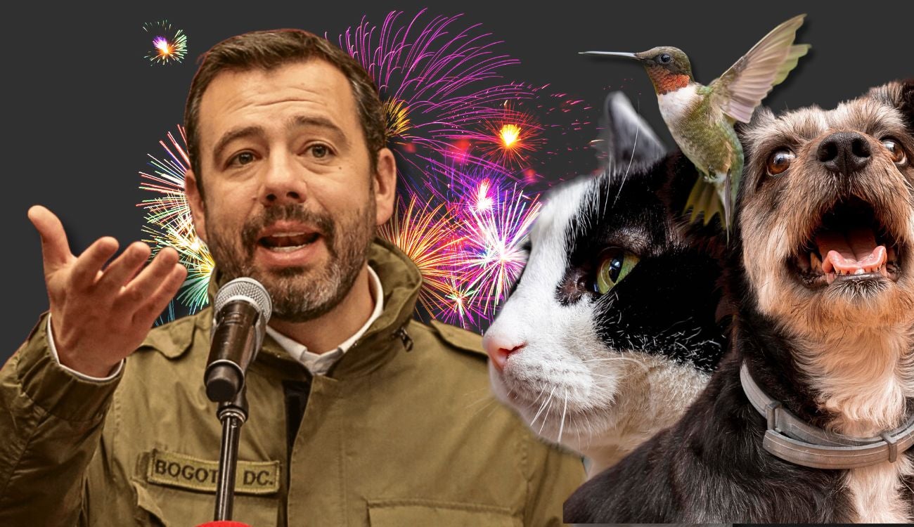 Galán pensó en los animales: Bogotá no tendrá pólvora en fin de año