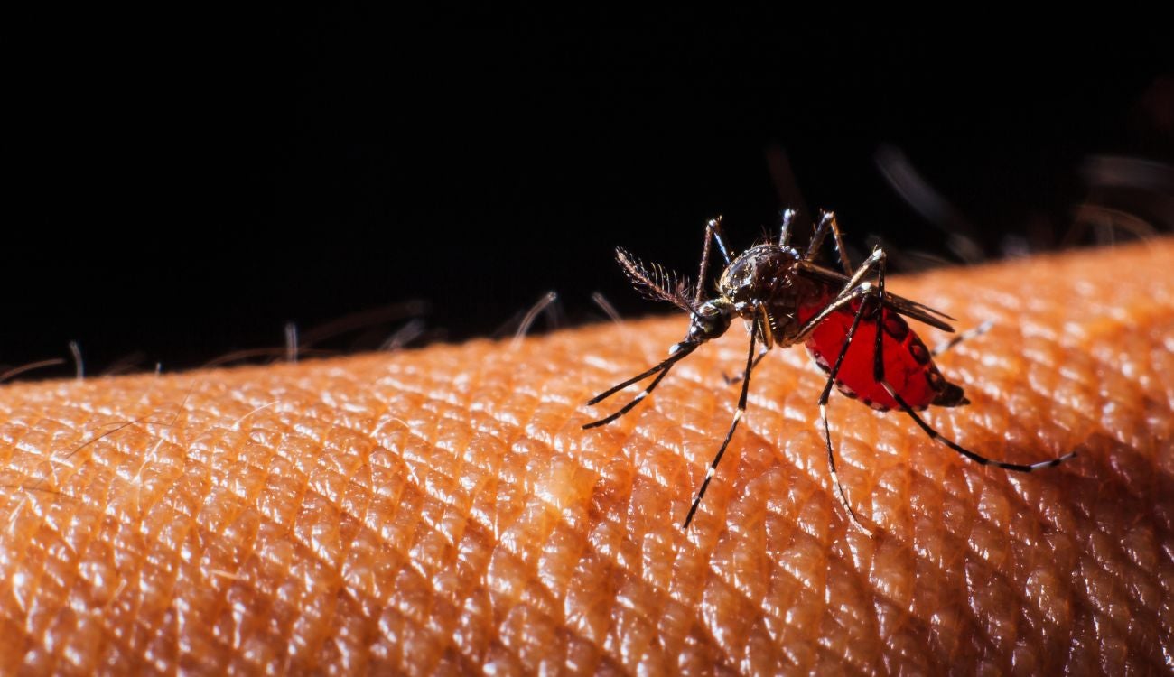 ¿Dónde se consigue la vacuna contra el dengue en Colombia?