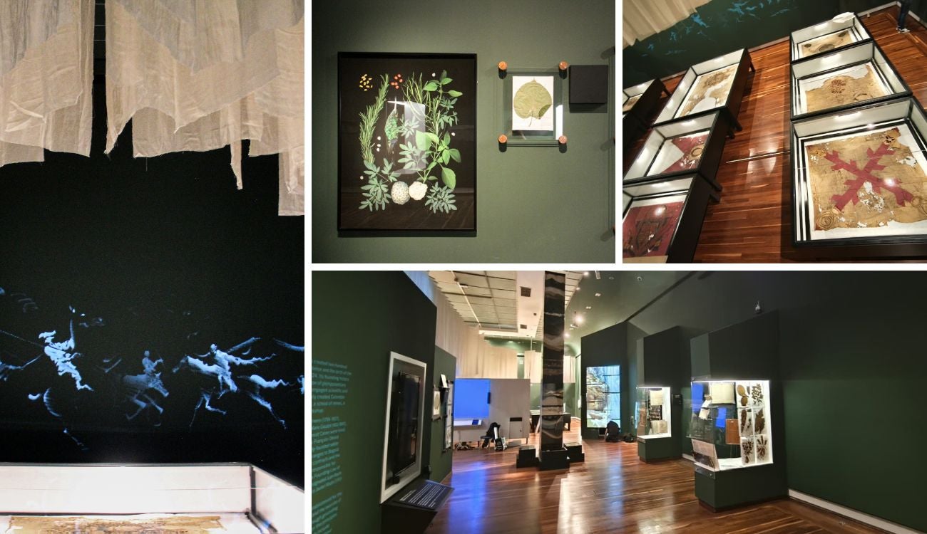Museo Nacional arma planzazo por sus 200 años con exposición gigante