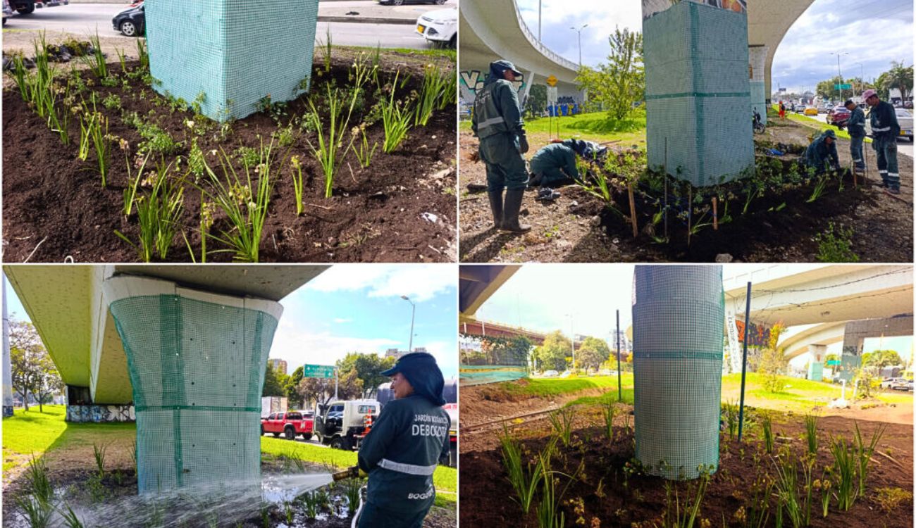 Bogotá le apuesta al verde: puente de la calle 92 estrenó nueva cara