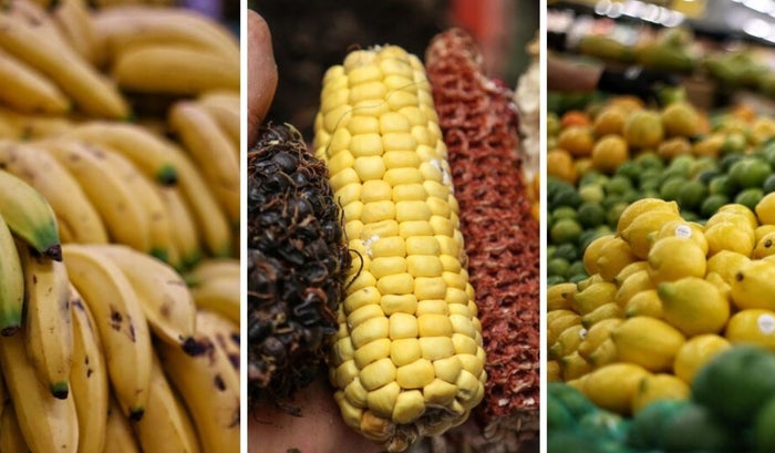 Precios en Corabastos este 1 de diciembre 2025 alimentos que más bajaron