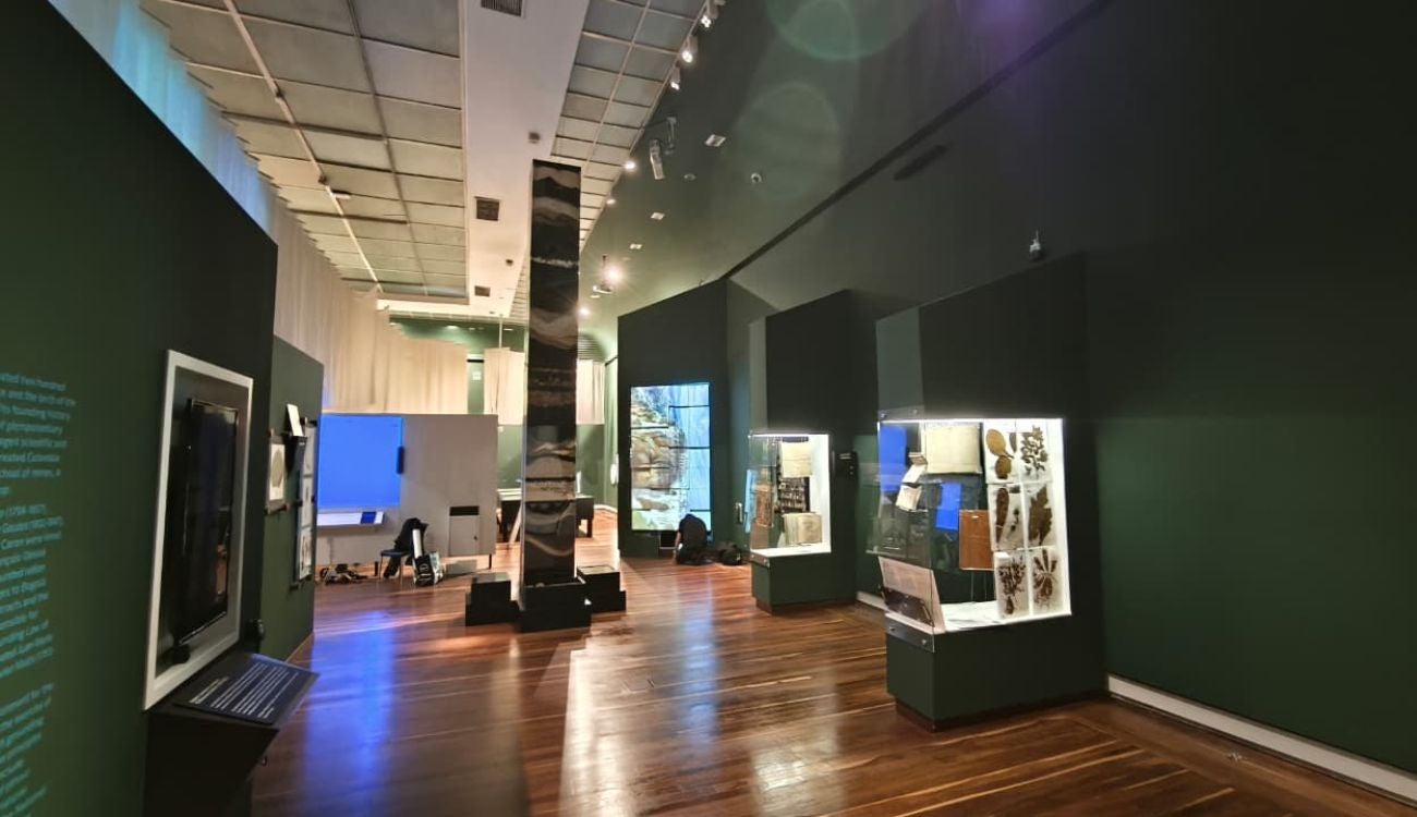 Museo Nacional arma planzazo por sus 200 años con exposición gigante