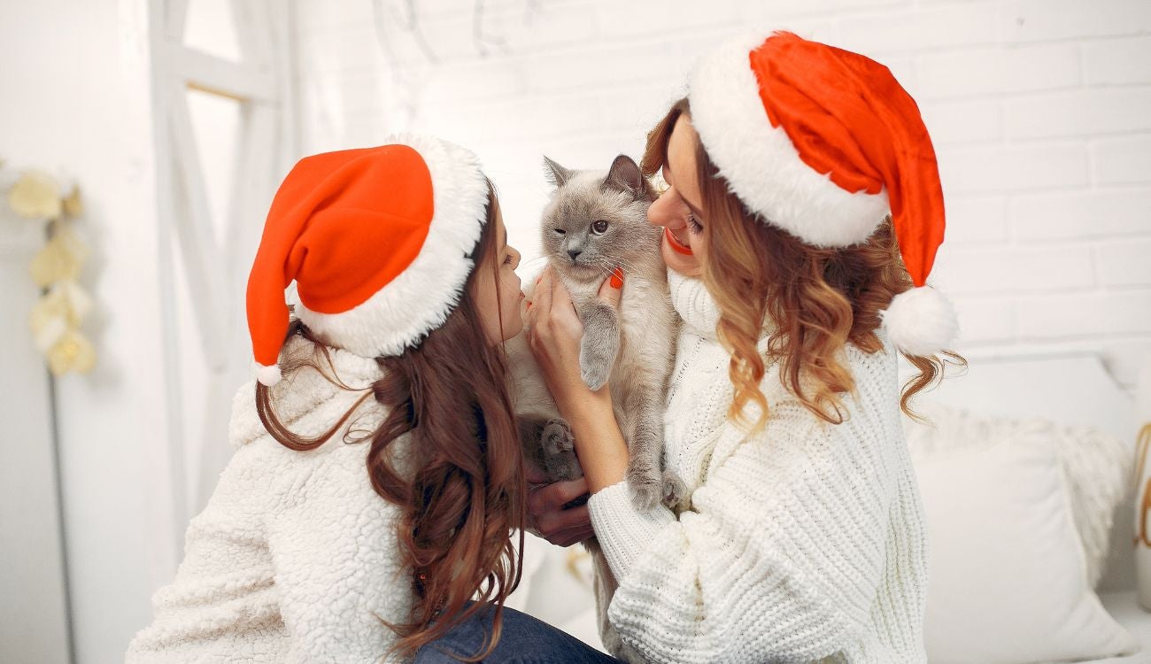 Regalos para mascotas en Navidad.