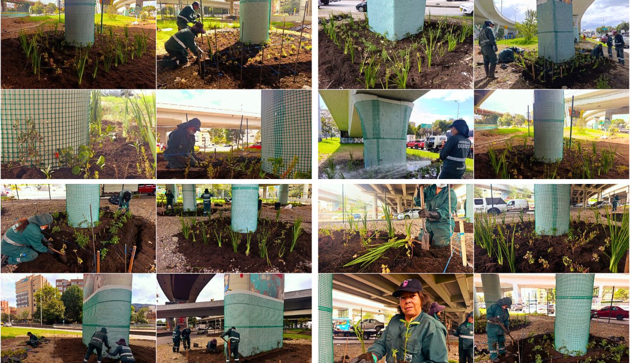 Bogotá le apuesta al verde: puente de la calle 92 estrenó nueva cara