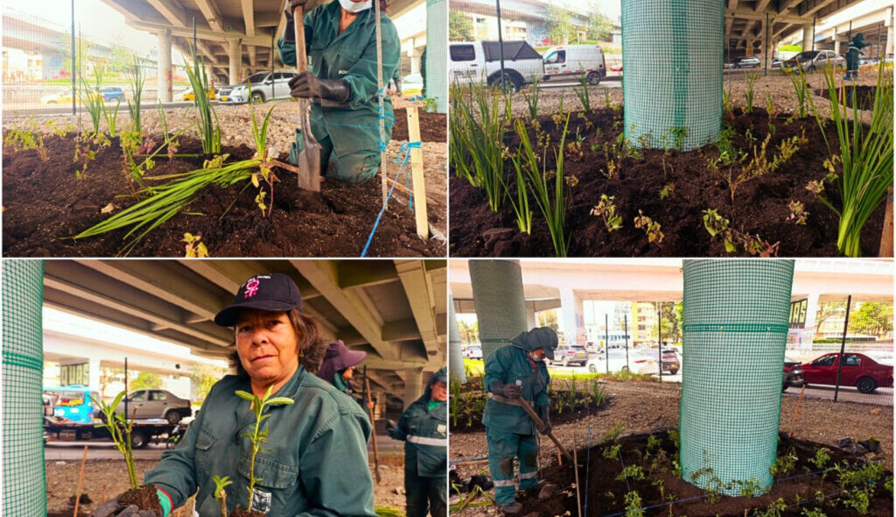 Bogotá le apuesta al verde: puente de la calle 92 estrenó nueva cara