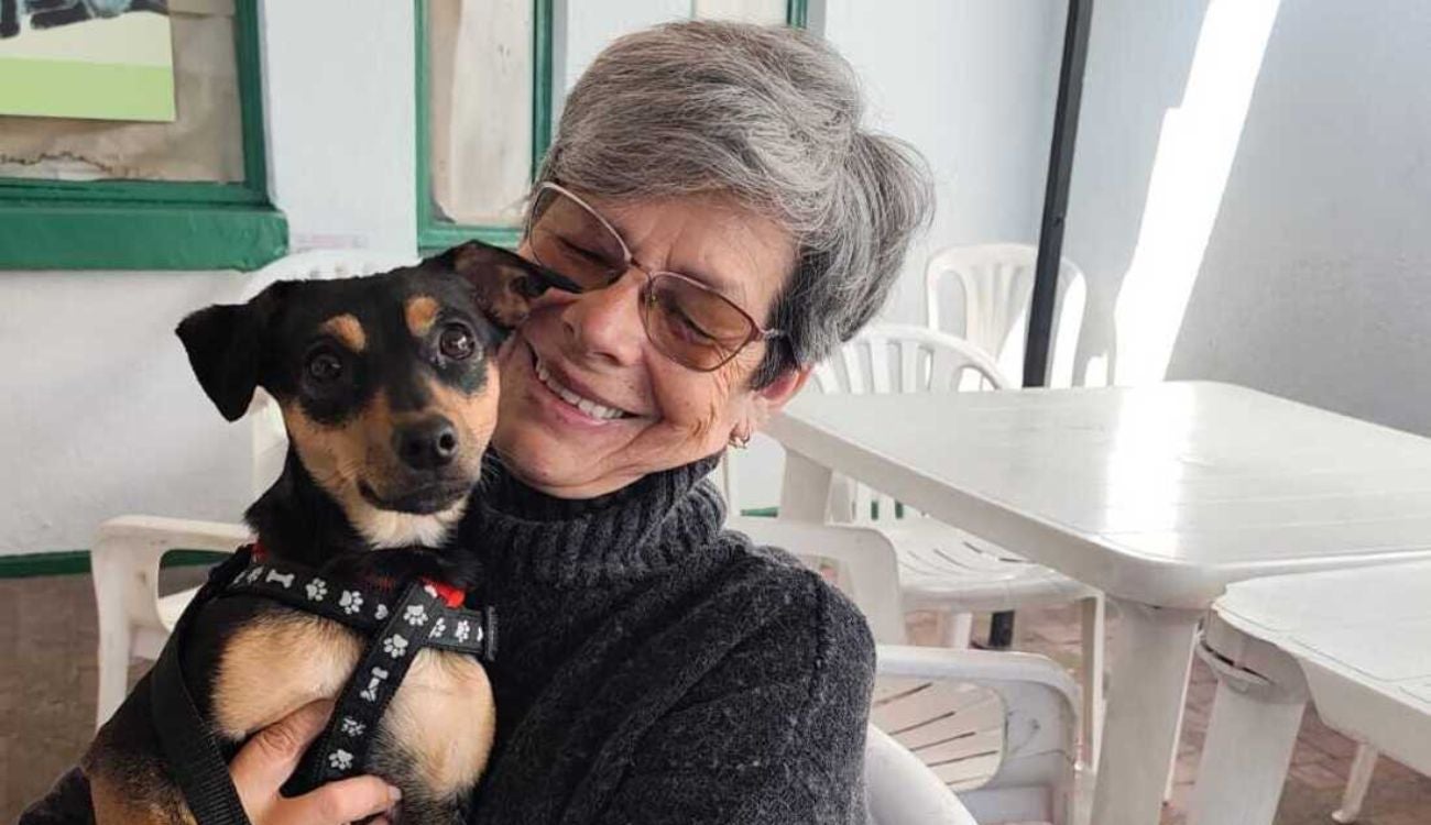 Terapias con colita feliz: así curan los ‘dogtores’ a pacientes en Bogotá