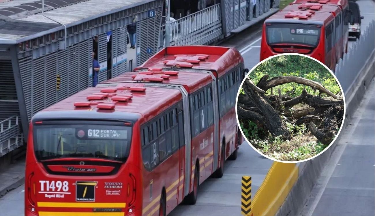 TransMilenio cierra estaciones en la Avenida Caracas: árbol cayó en la vía