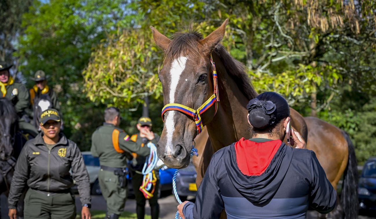 Adopción de caballos de la Policía