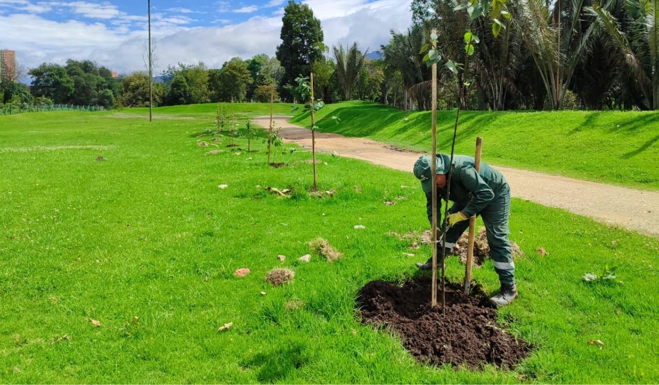 El Salitre se renueva: Bogotá siembra 304 árboles en su pulmón verde