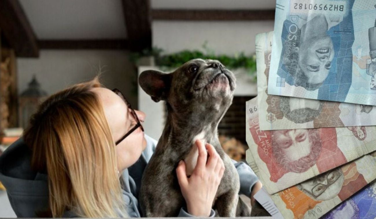 Arrendatarios deberán asumir pago extra fuera del arriendo