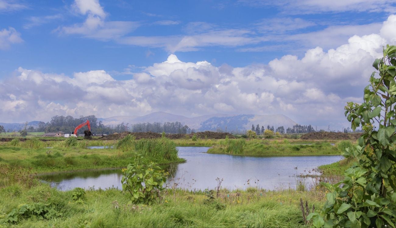 Río Bogotá en recuperación: CAR interviene 116 hectáreas de su cuenca