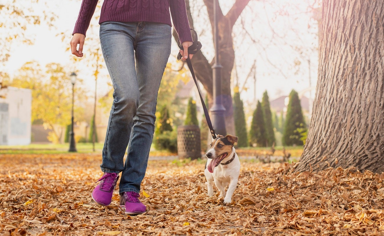 Dueña de perro agredida por un hombre en Usaquén