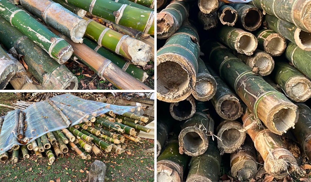 Autoridades frenan camión con guadua ilegal en carretera de Cundinamarca