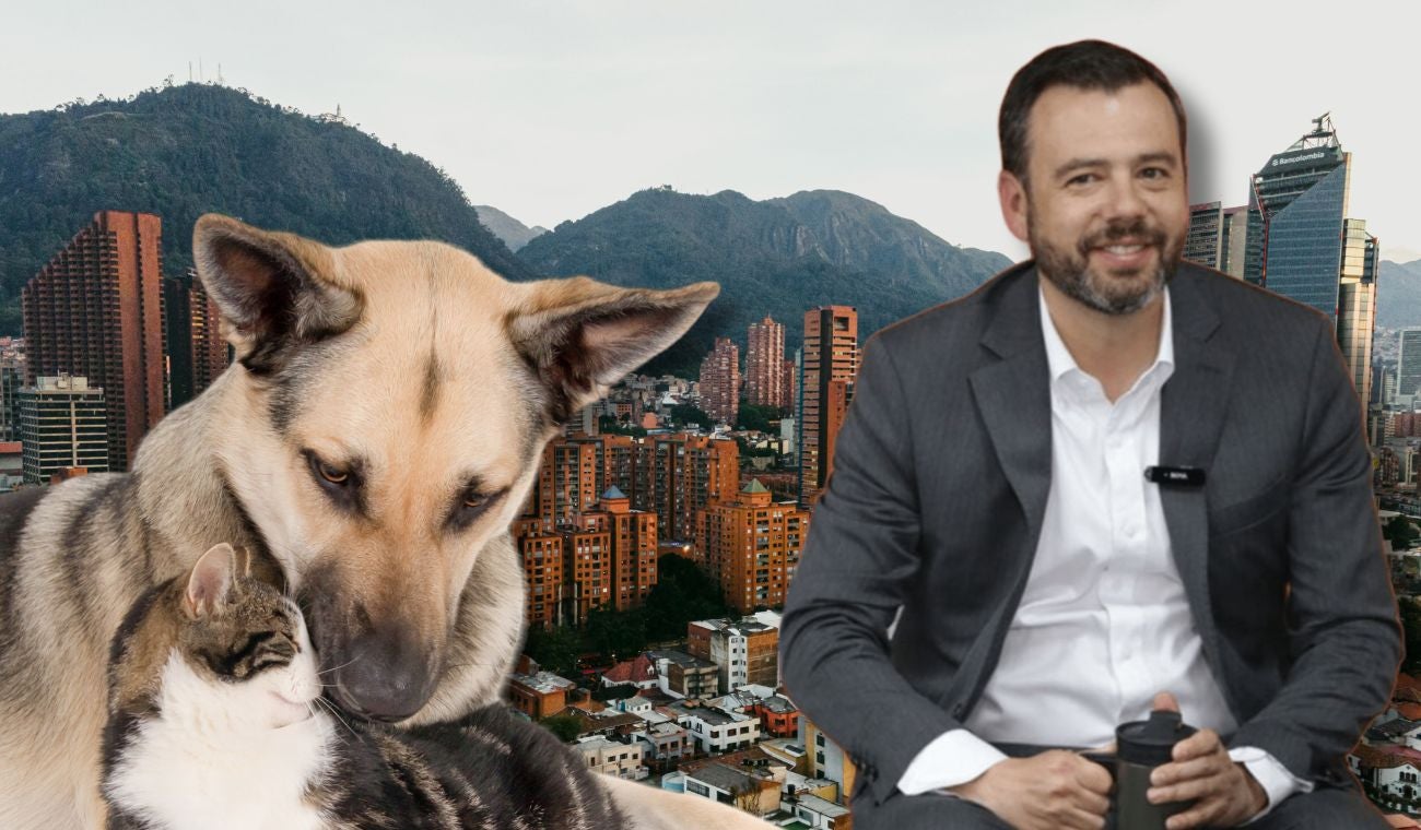 Usme: localidad del sur de Bogotá que encabezó la protección animal