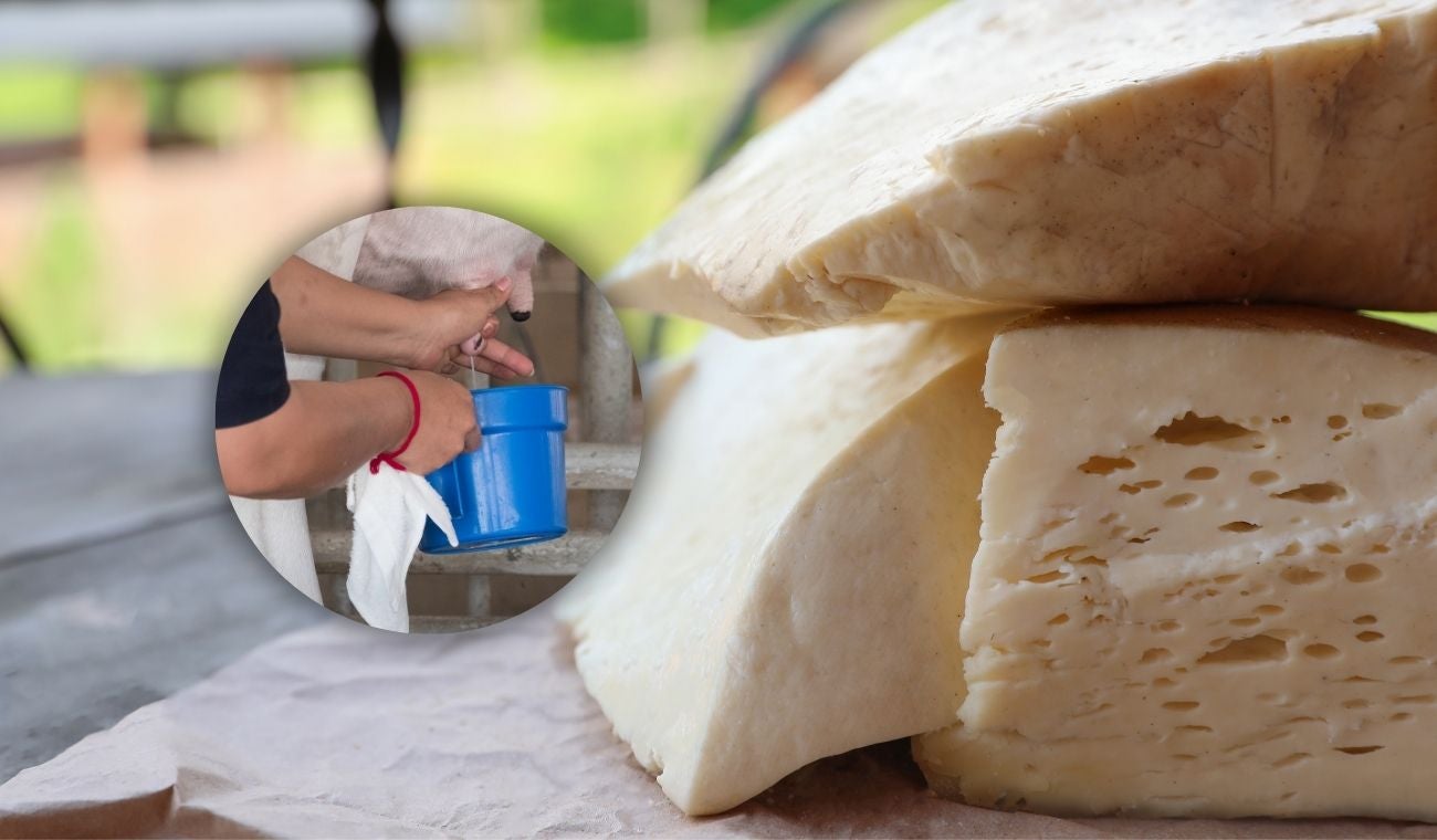 Quesatón en Bogotá