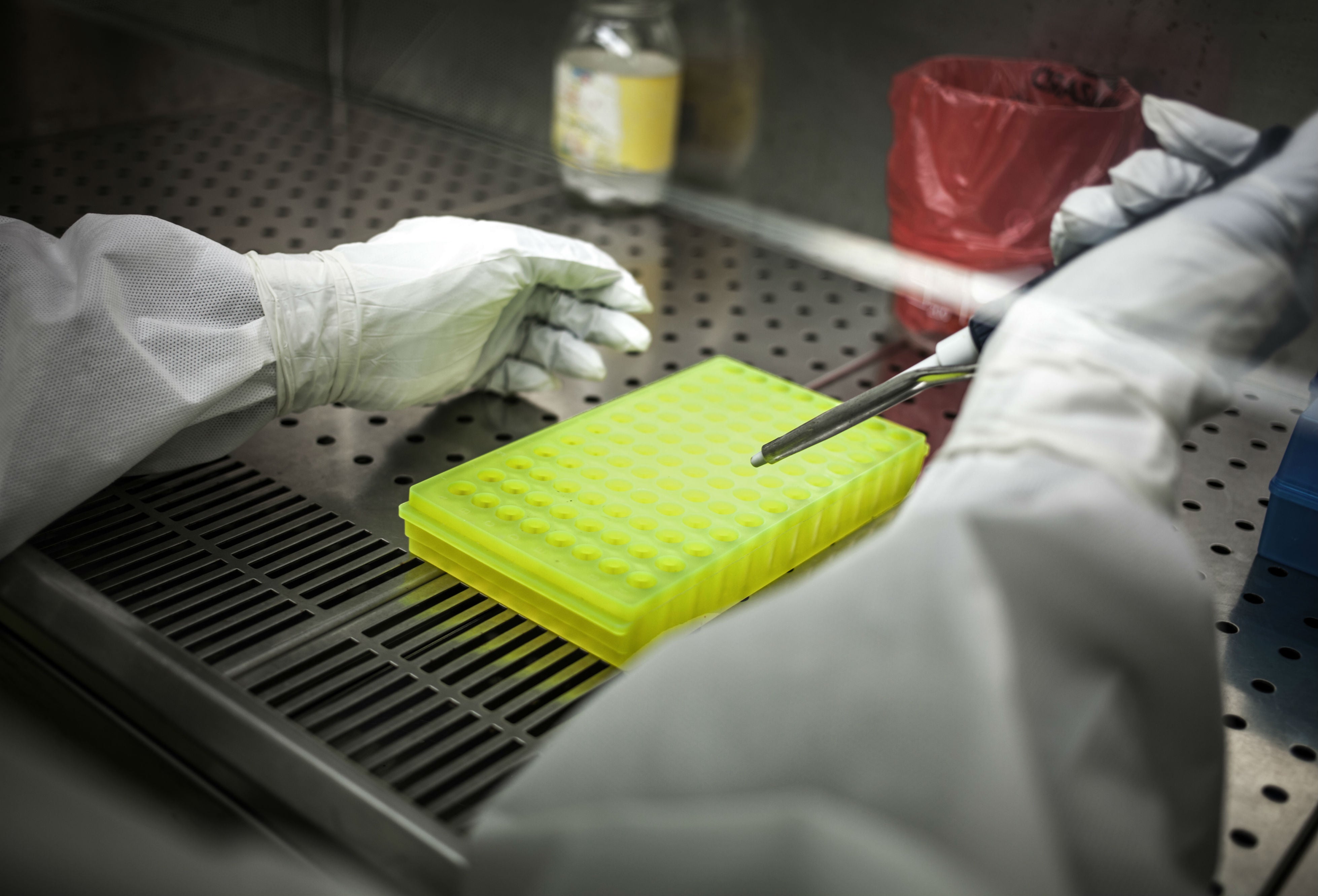 Laboratorio coronavirus