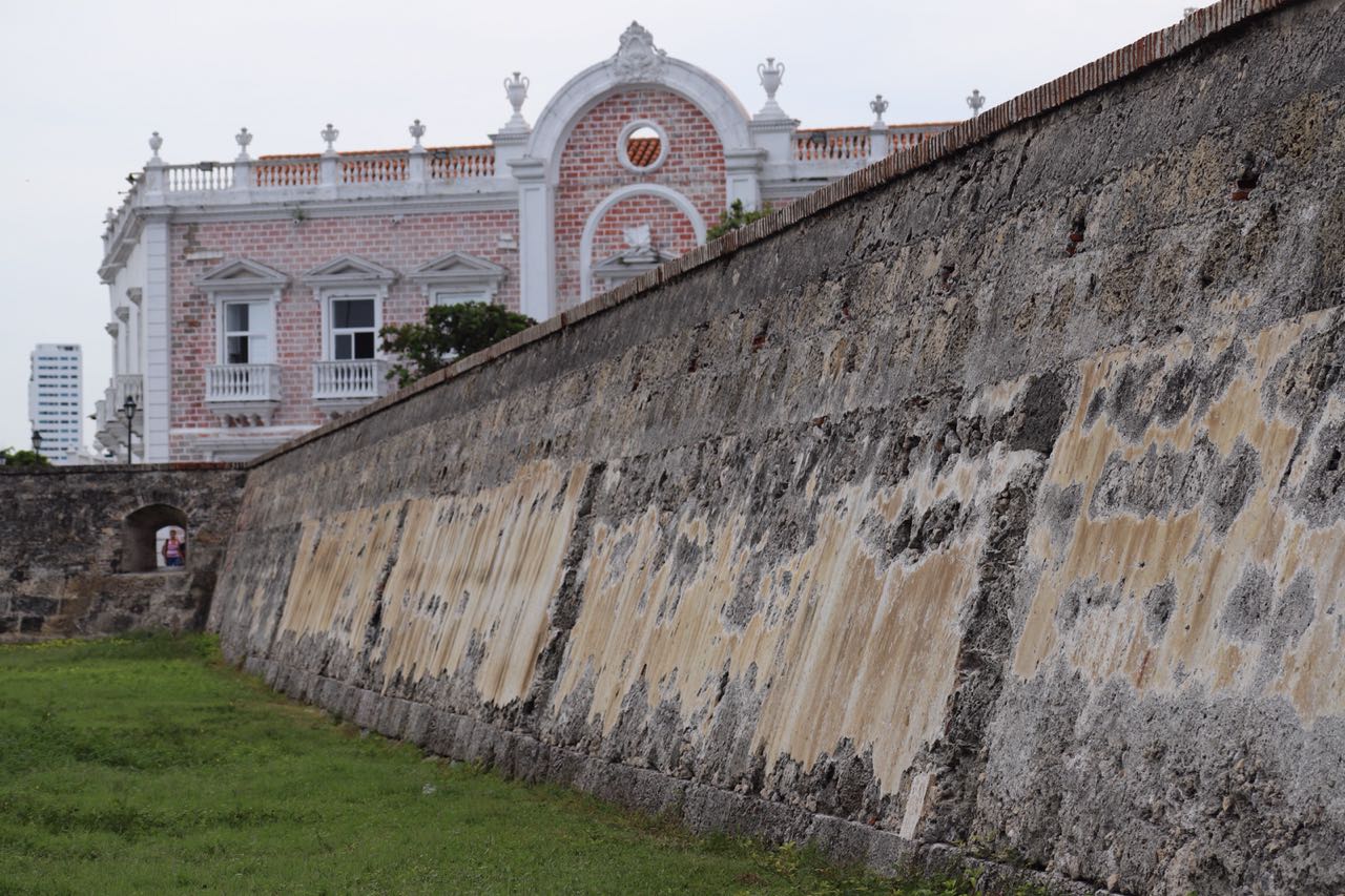 El monumento posee una enfermedad conocida como ‘Costra Negra’ que se desarrolla en climas calurosos.