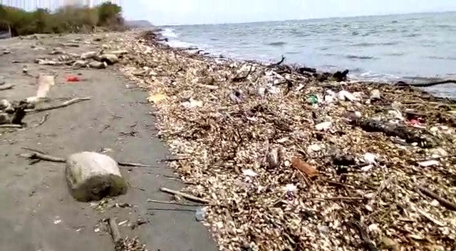 Playas de Puerto Colombia, Atlántico
