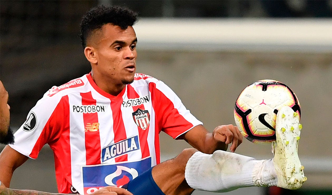 Luis Díaz, Junior, 2019