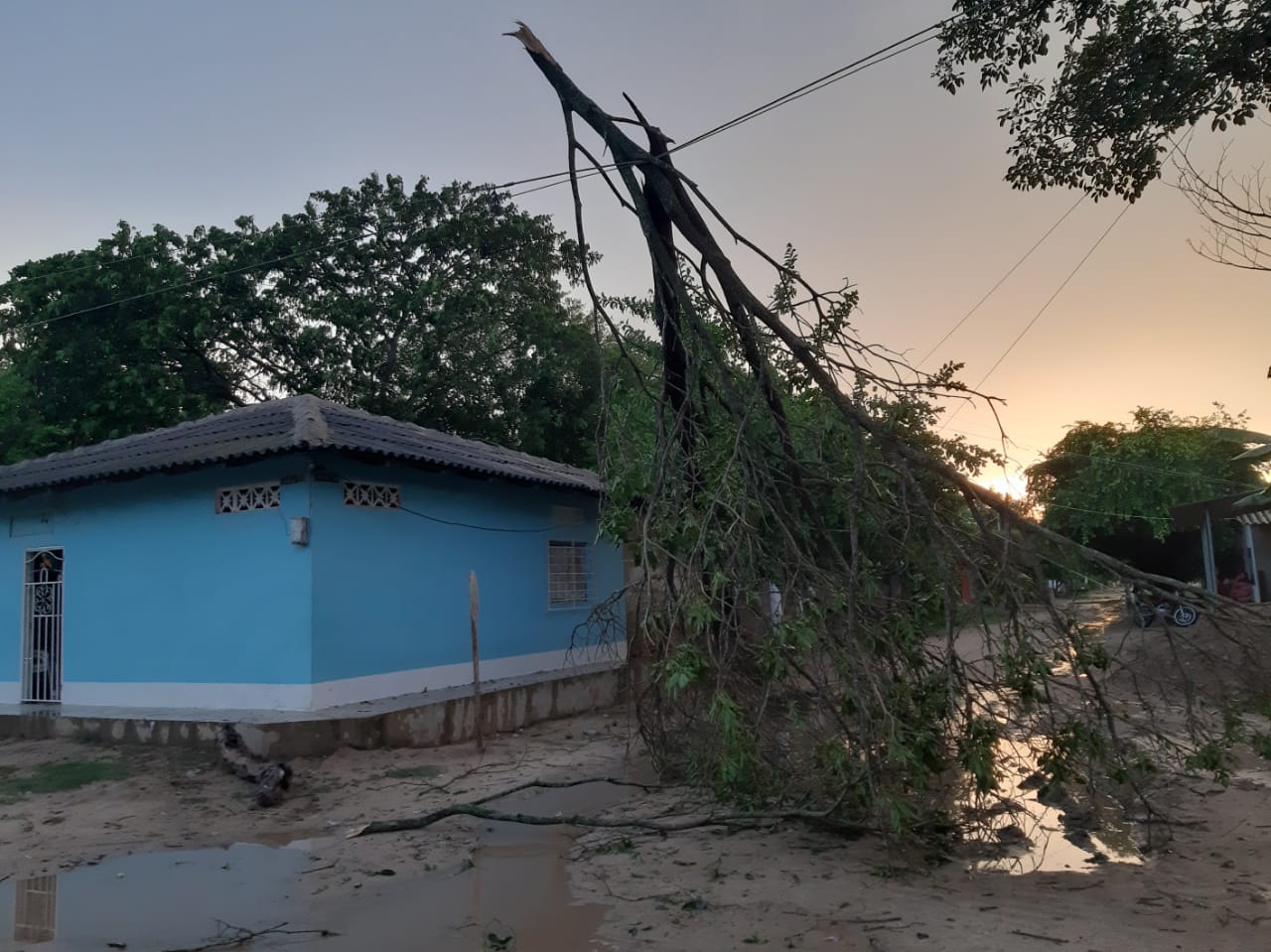 Algarrobo, Magdalena