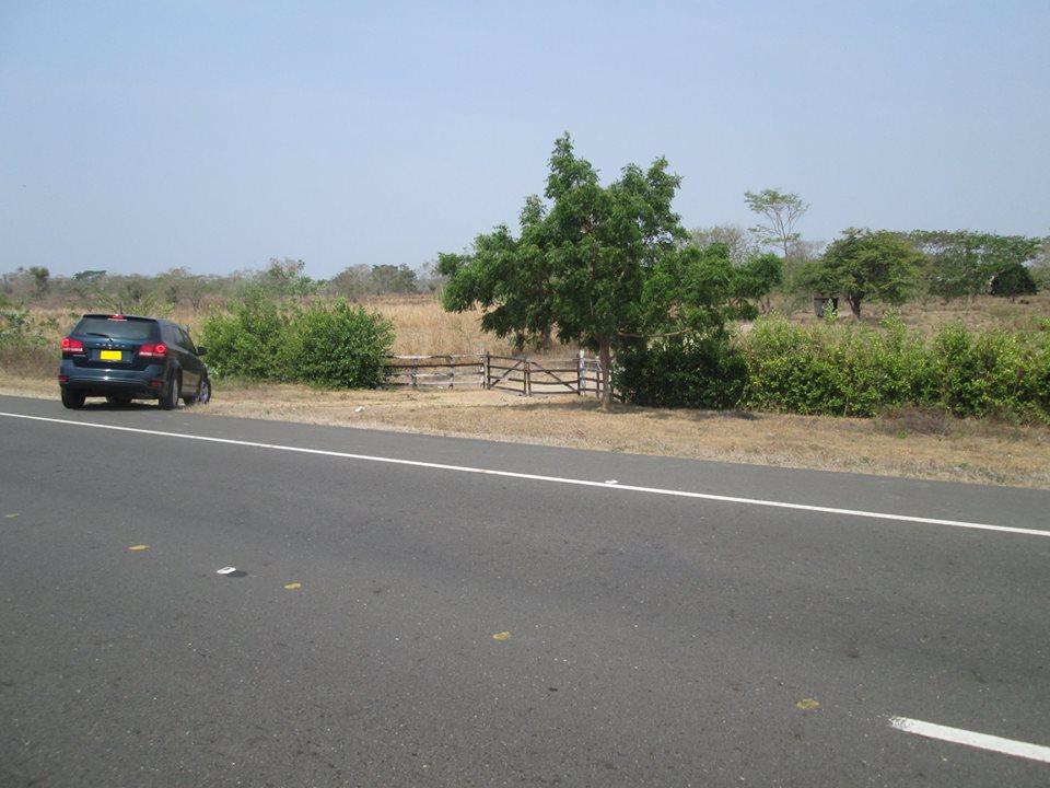 Hombre fue embestido y murio en arroyo de piedra