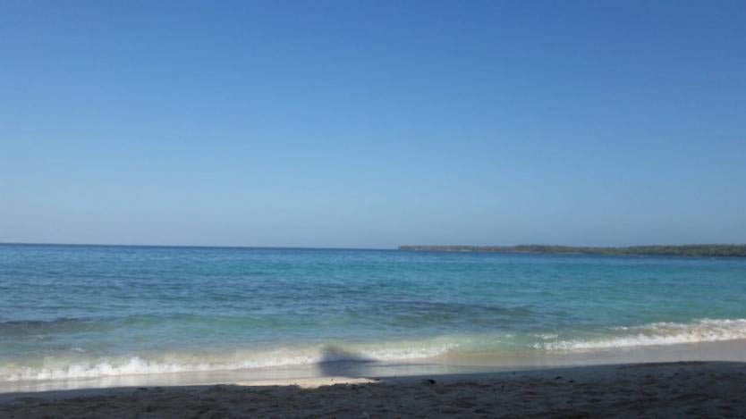 Imagen de referencia.