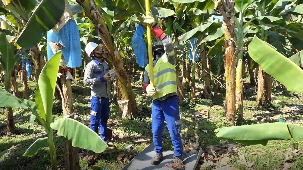 Autoridades ingresaron y verificaron las conexiones fraudulentas de energía