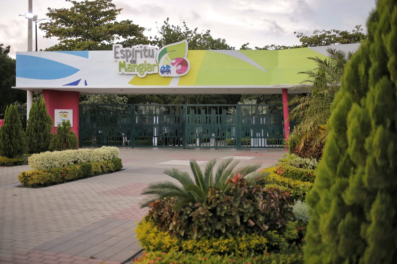 Espíritu del Manglar