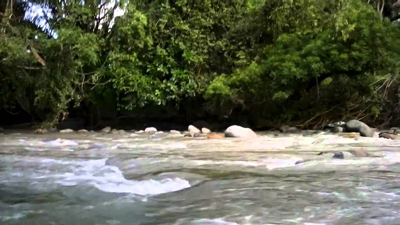 Megaproyecto de recuperación de Rios