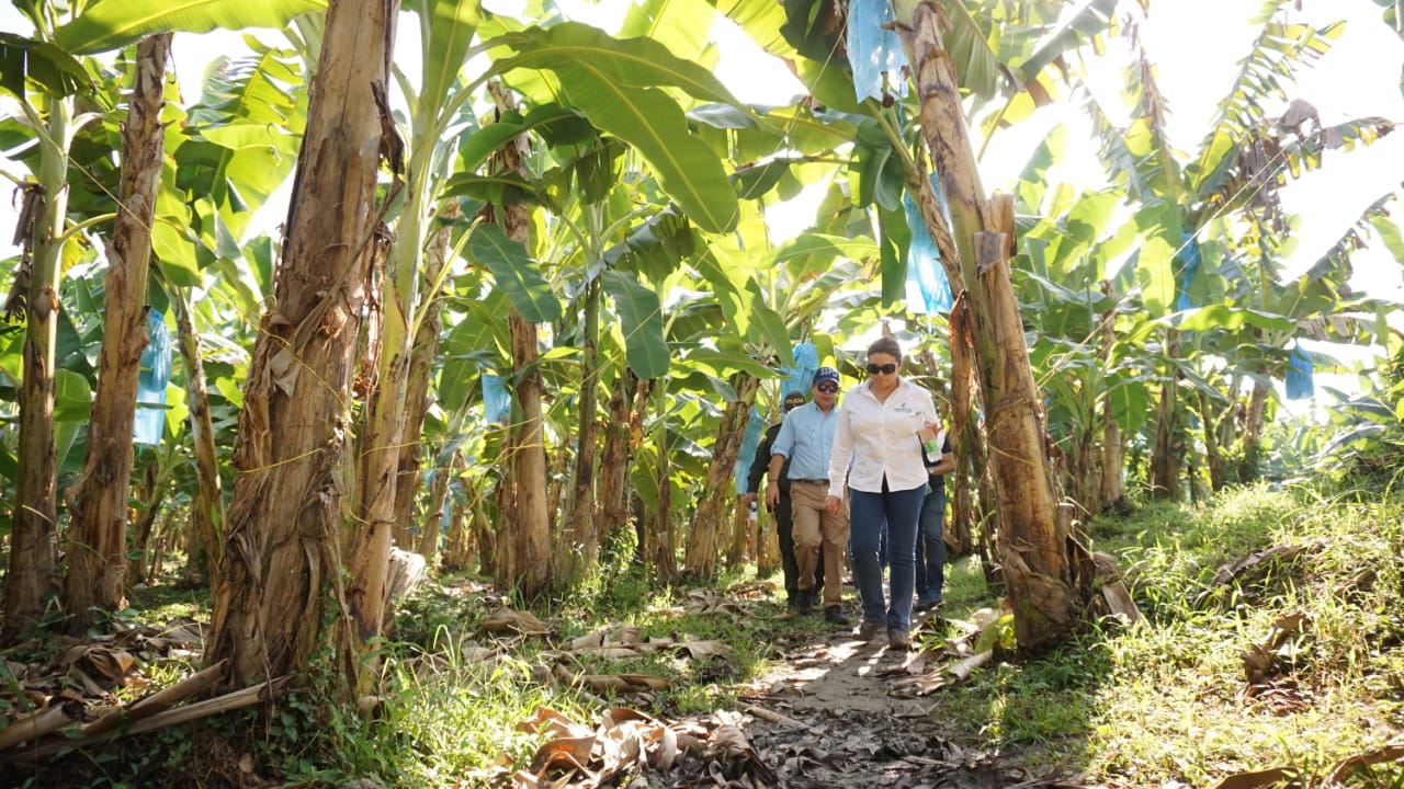 la Superintendente de servicios públicos, recorrió el predio y conoció a detalle las evasivas del propietario del predio