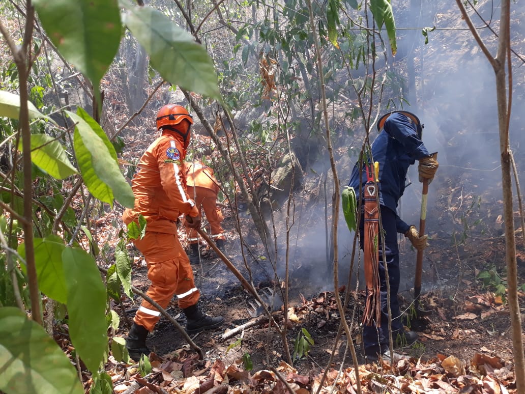 Autoridades trabajan para sofocar las llamas que se intensifican con el pasar de los días