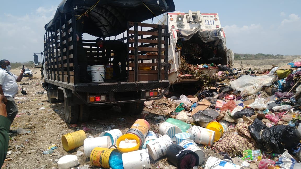 Mientras que las especies que fueron encontradas vivas, las liberaron en su hábitat natural